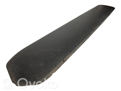 Priekšpusē durvju dekoratīvā apdare (moldings)