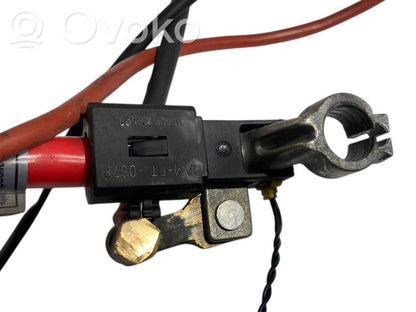 Plusa vads (akumulatora)