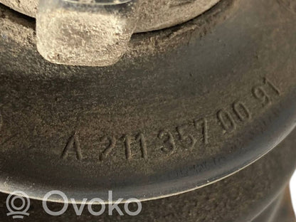 Aizmugurējā pusass