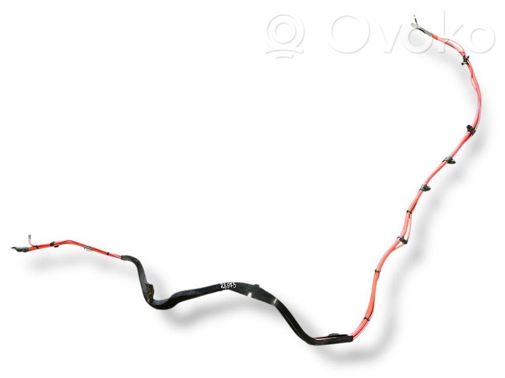 Plusa vads (akumulatora)