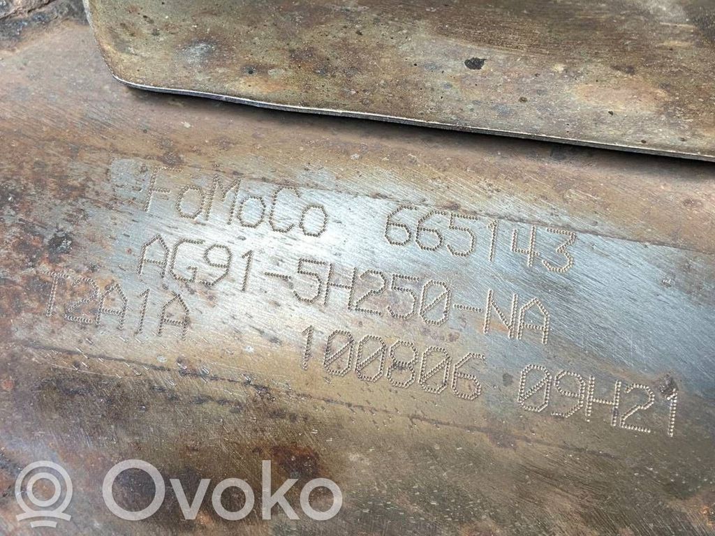 Katalizators, FAP/DPF cieto daļiņu filtrs