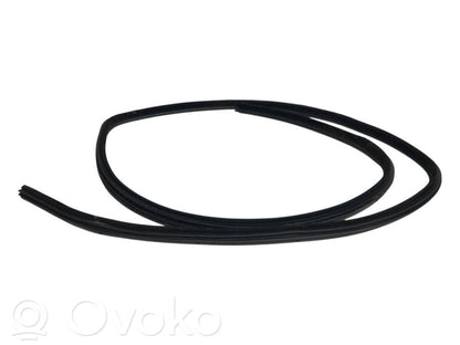 Rear trim rubber (in the body)