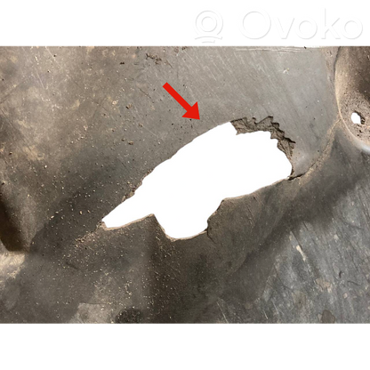 Engine underbody guard