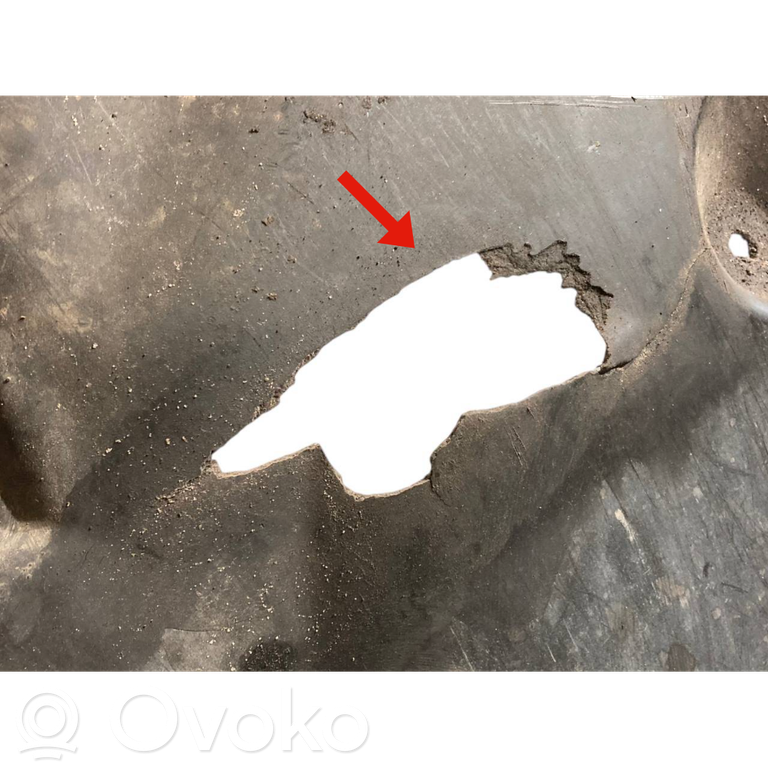 Engine underbody guard