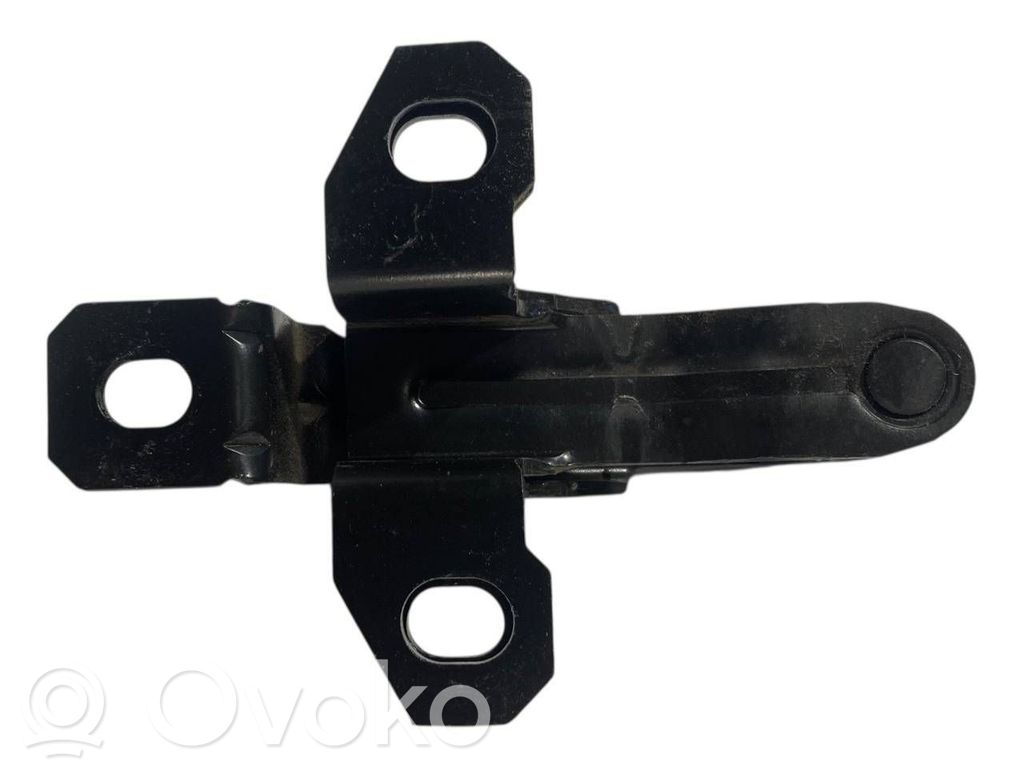 Aizmugurējā pārsega eņģe (-ess)