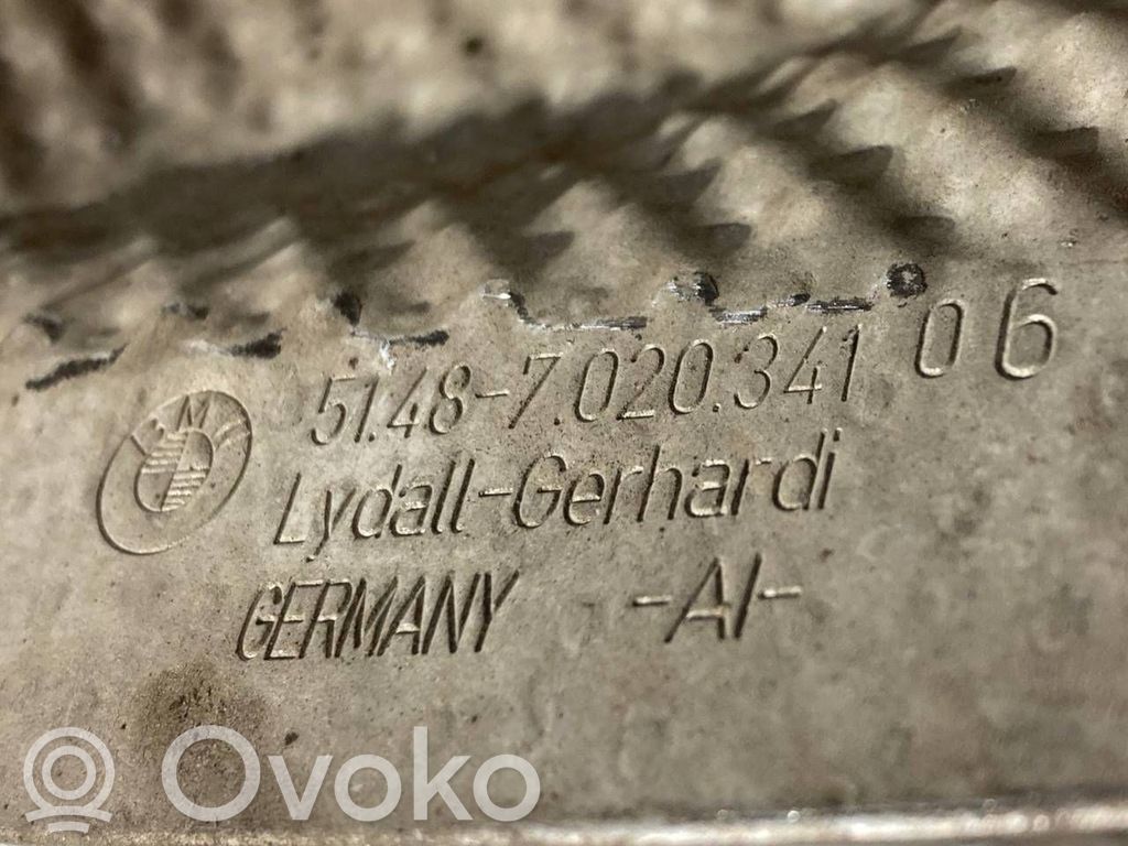 Under engine guard (front)