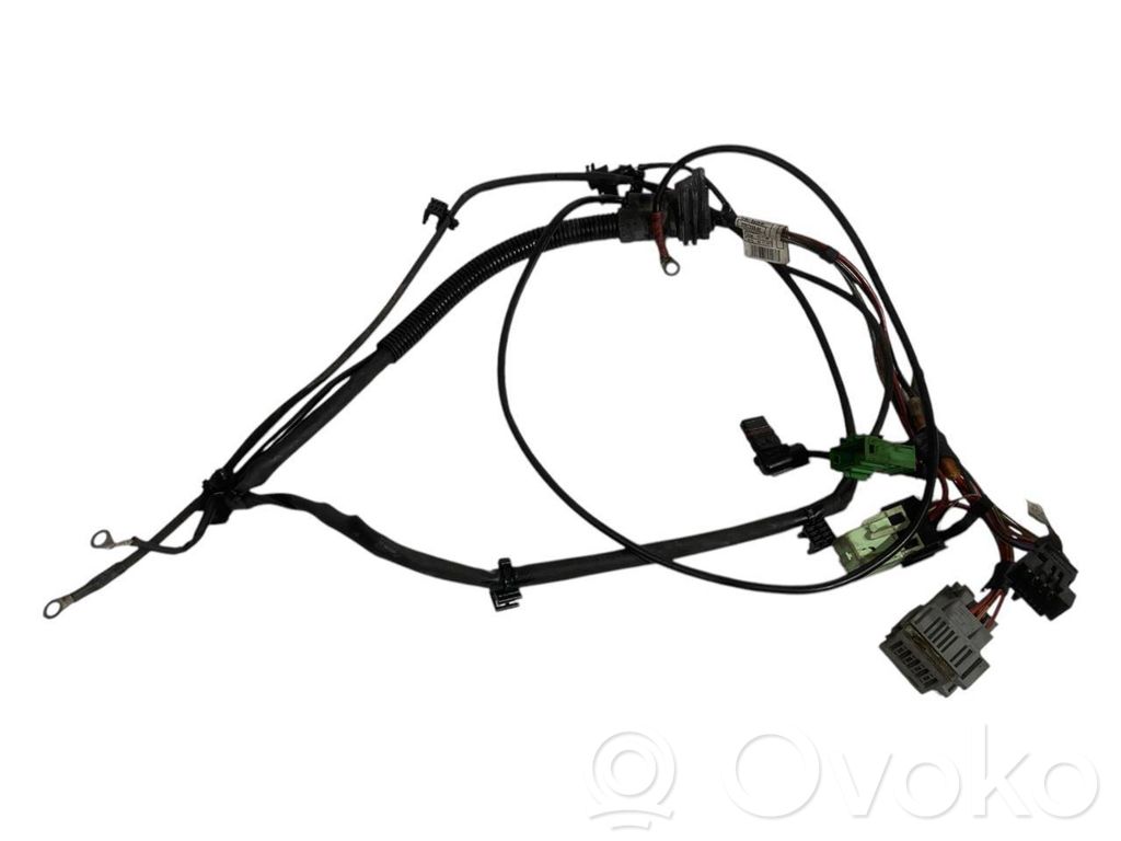 Engine wiring harness