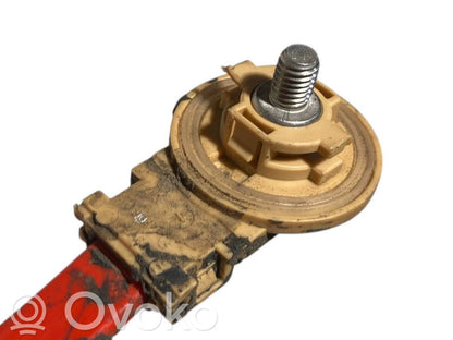 Plusa vads (akumulatora)