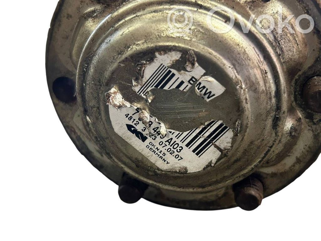 Aizmugurējā pusass