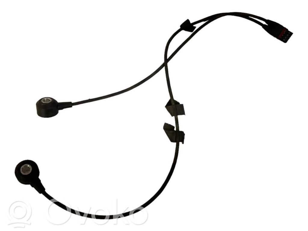 Detonācijas sensors