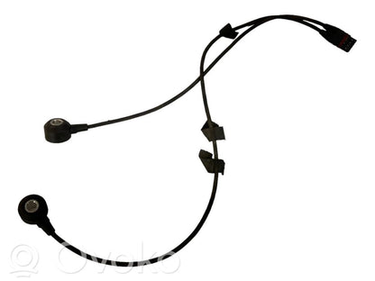 Detonācijas sensors
