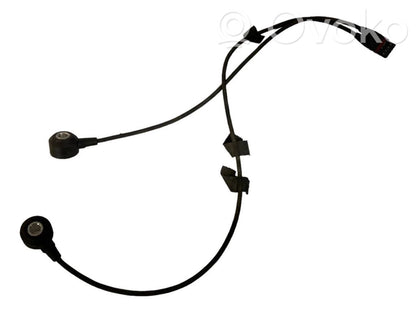 Detonācijas sensors