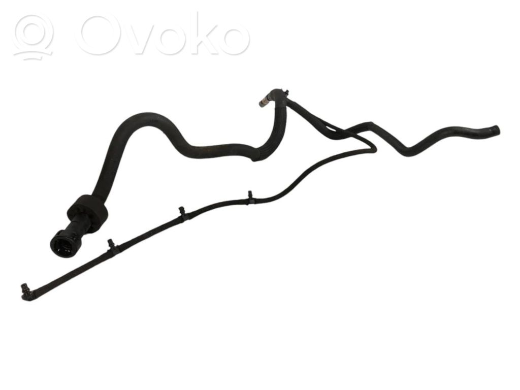 Caurule (-es) / šļūtene (-es)