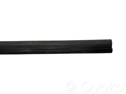Front sill trim (inner)