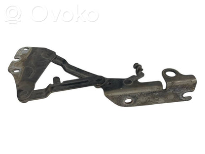 Dzinēja pārsega eņģe (-es)