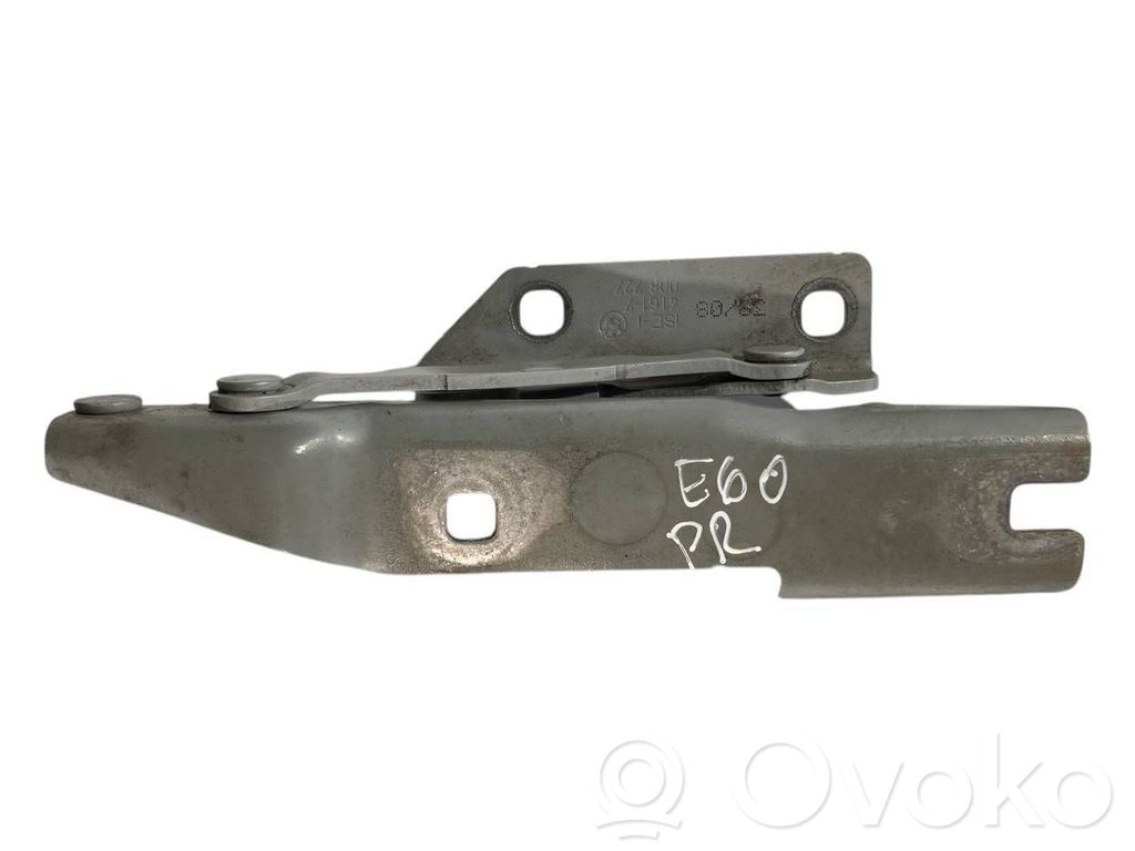 Engine hood hinge(s)