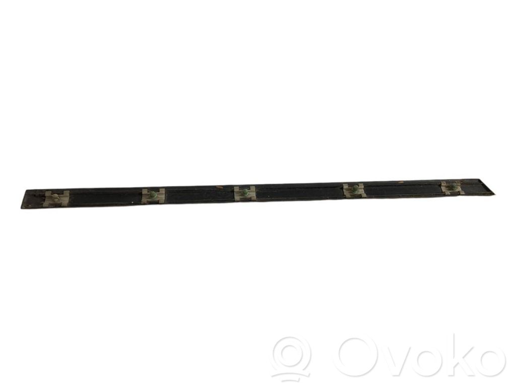 Aizmugurē durvju dekoratīvā apdare (moldings)