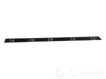 Aizmugurē durvju dekoratīvā apdare (moldings)