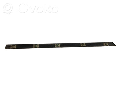 Aizmugurē durvju dekoratīvā apdare (moldings)