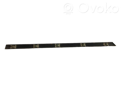 Aizmugurē durvju dekoratīvā apdare (moldings)