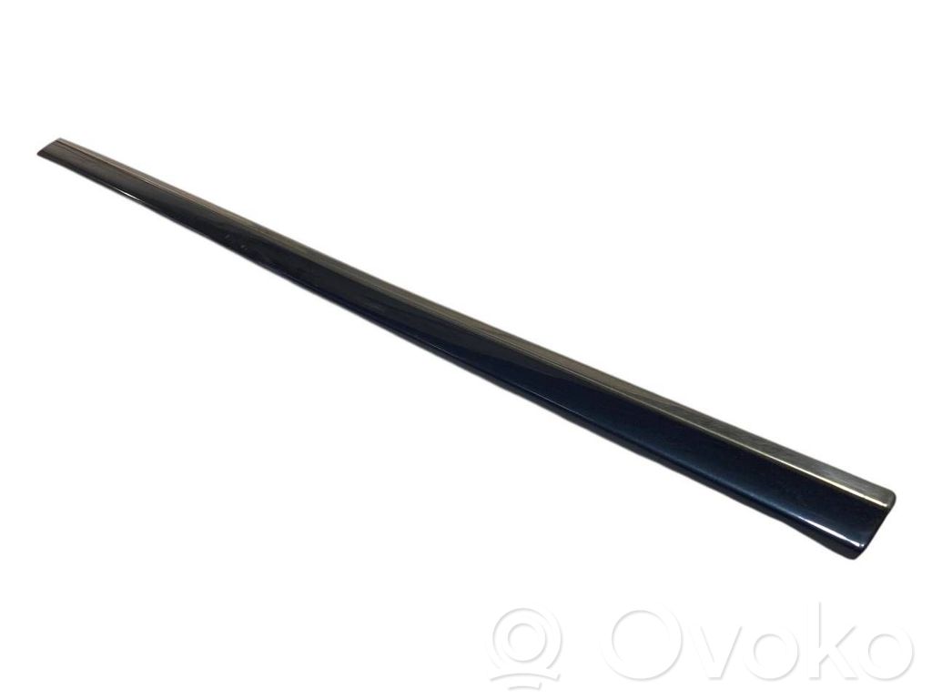 Priekšpusē durvju dekoratīvā apdare (moldings)