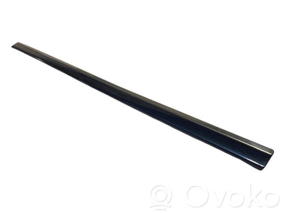Priekšpusē durvju dekoratīvā apdare (moldings)