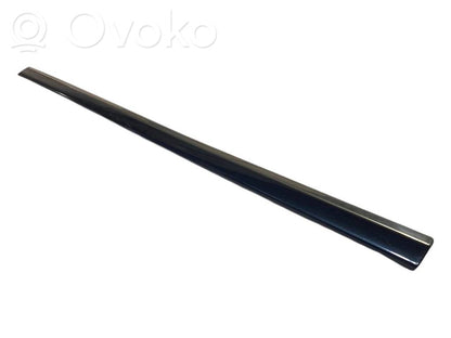 Priekšpusē durvju dekoratīvā apdare (moldings)