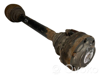 Aizmugurējā pusass