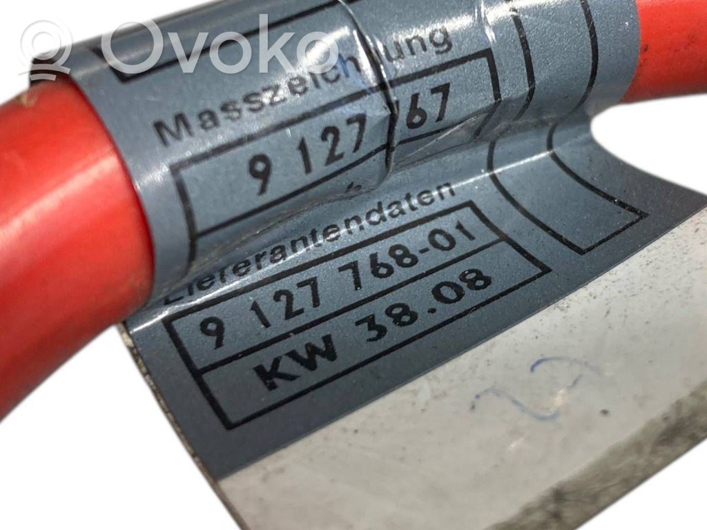 Plusa vads (akumulatora)