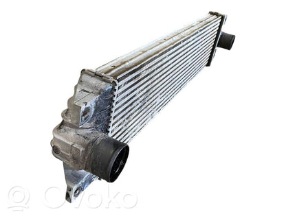 Starpdzesētāja radiators