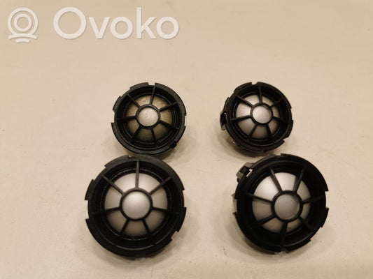 Skaļrunis (-i) priekšējās durvīs