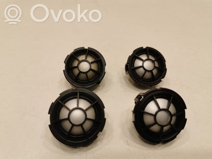 Динамик(и) в передней двери