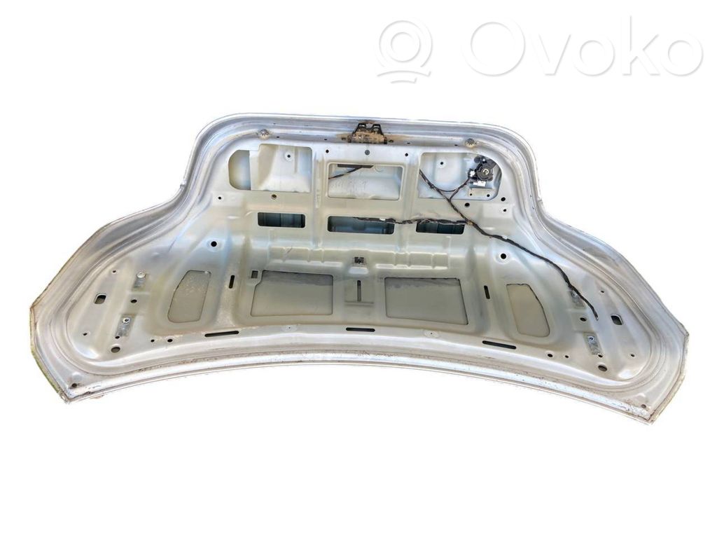 Aizmugurējais pārsegs (bagāžnieks)