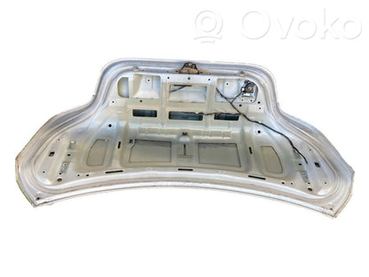 Aizmugurējais pārsegs (bagāžnieks)