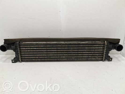 Starpdzesētāja radiators