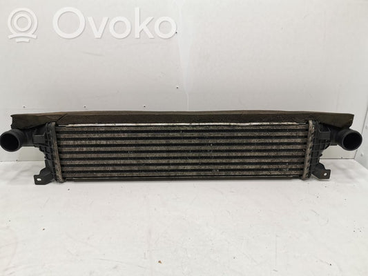 Intercooler radiator