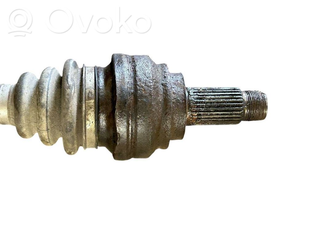 Aizmugurējā pusass