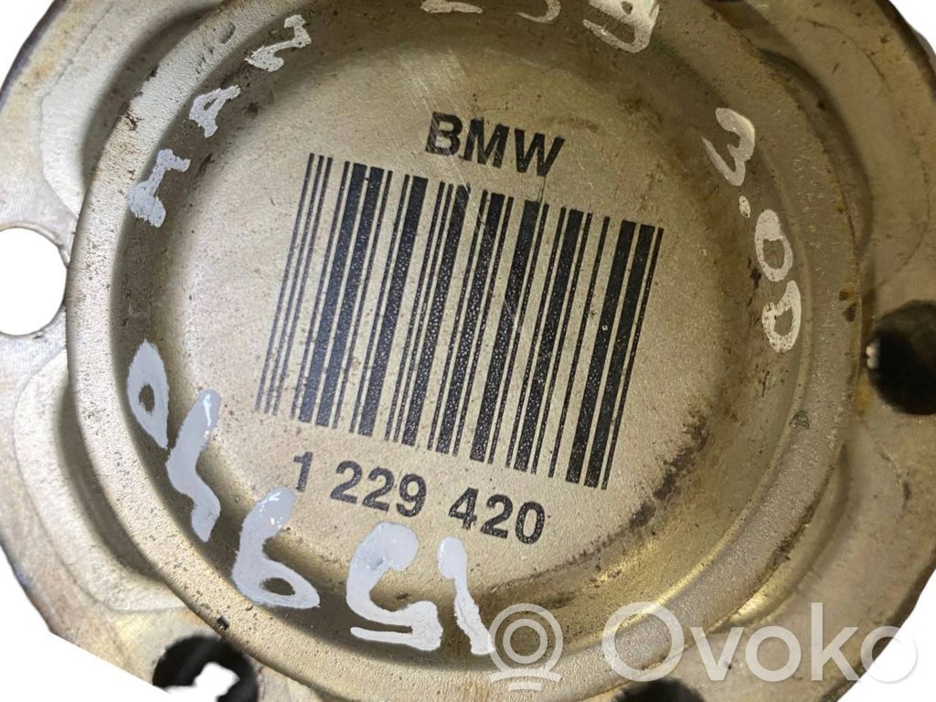 Aizmugurējā pusass