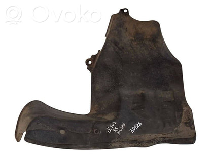 Aizmugurējais apakšspārns