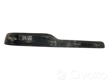 Rear door sill trim (inner)