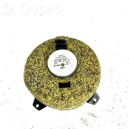 Speaker(s) in front door