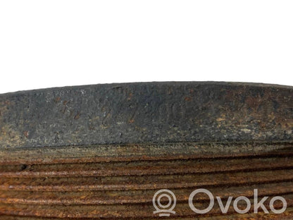 Kloķvārpstas skriemelis