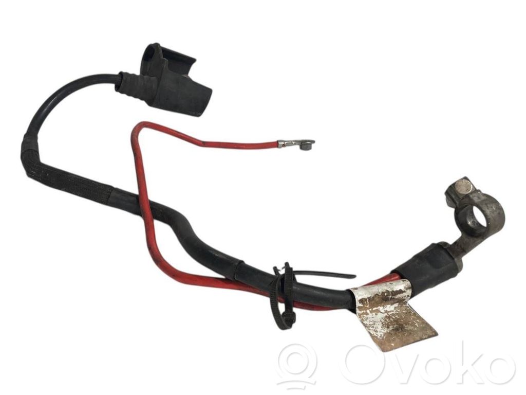 Plusa vads (akumulatora)