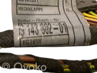 Aizmugurējais pārsegs (bagāžnieks)