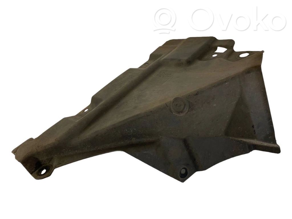 Under engine guard (front)
