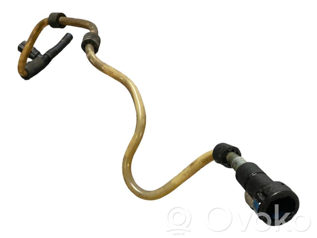 Caurule (-es) / šļūtene (-es)