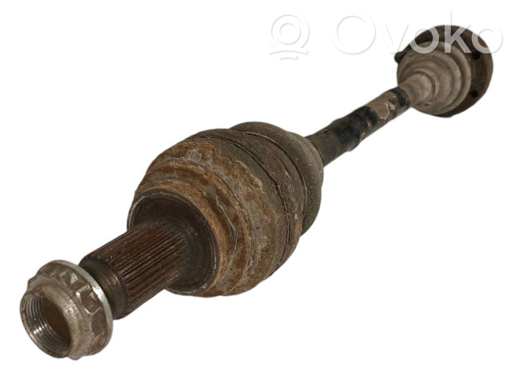 Aizmugurējā pusass