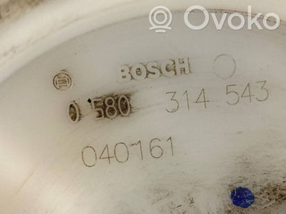 Fuel pump (in the fuel tank)
