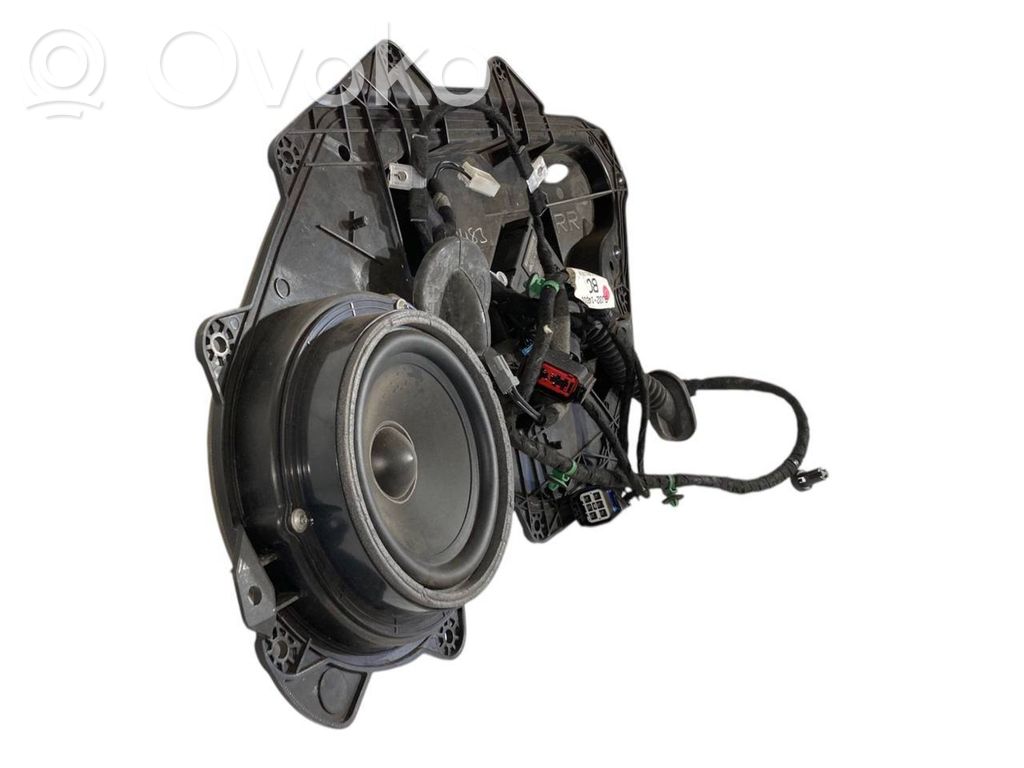 Speaker(s) in the rear door