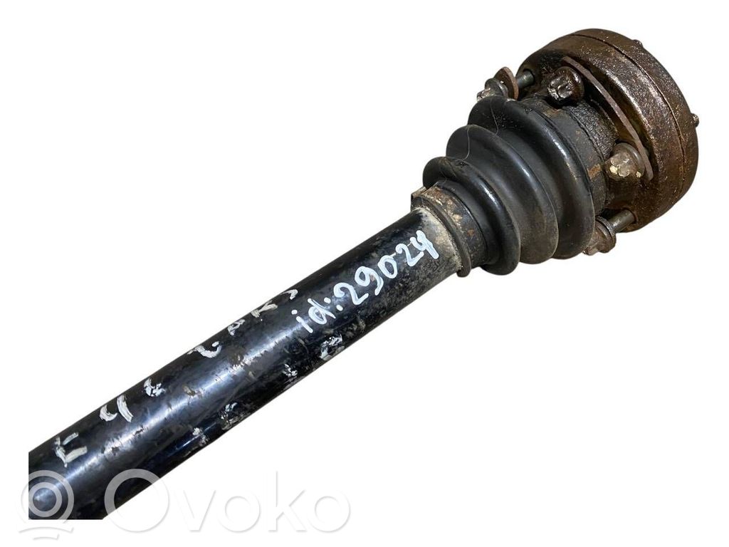 Aizmugurējā pusass